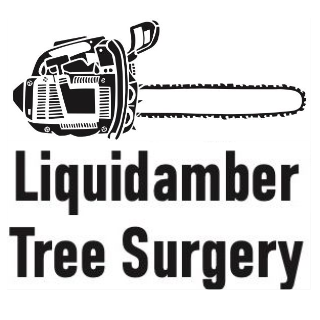 Adam Lowndes-Butler's logo